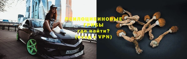экстази Михайлов