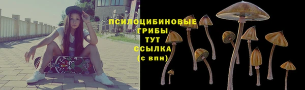 молекула духа Анжеро-Судженск