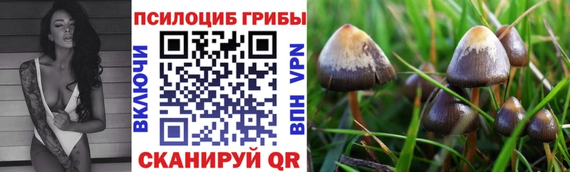 Галлюциногенные грибы мухоморы Гдов